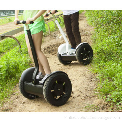 Battery-powered Motor Balance Electric Scooter for Adults, 24V, 28Ah, 1,600W, ESIII